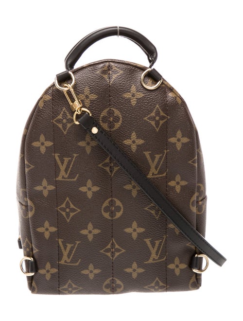Louis Vuitton LV Monogram Palm Springs Mini