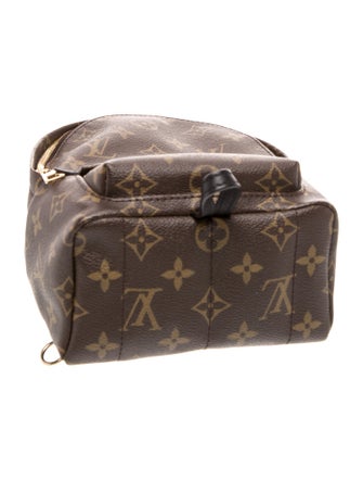 Louis Vuitton LV Monogram Palm Springs Mini