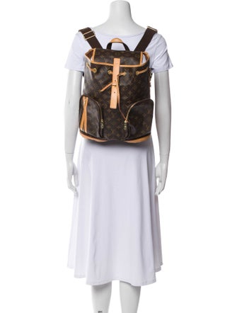 Louis Vuitton LV Monogram Bosphore