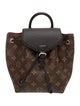 Louis Vuitton LV Monogram Montsouris BB