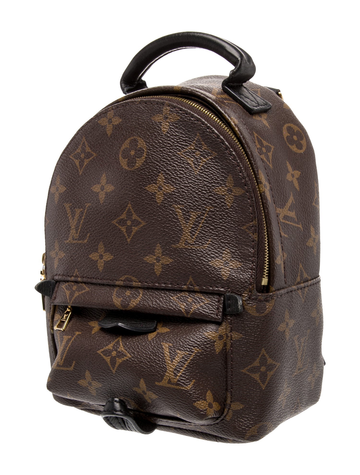 Louis Vuitton Monogram Palm Springs Mini