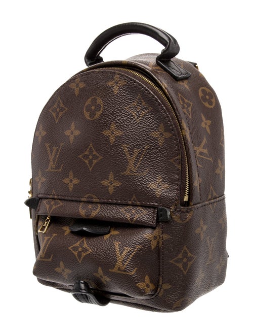 Louis Vuitton Monogram Palm Springs Mini