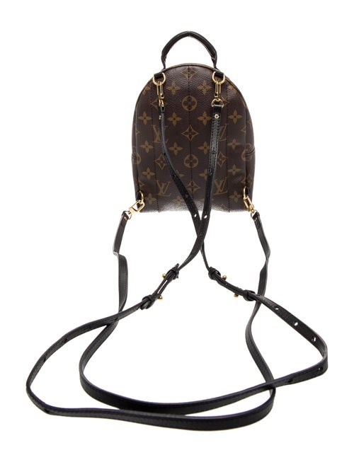 Louis Vuitton Monogram Palm Springs Mini