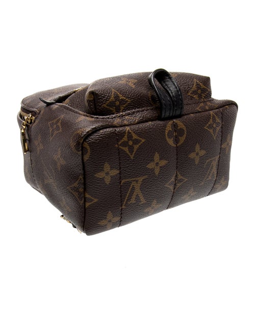 Louis Vuitton Monogram Palm Springs Mini
