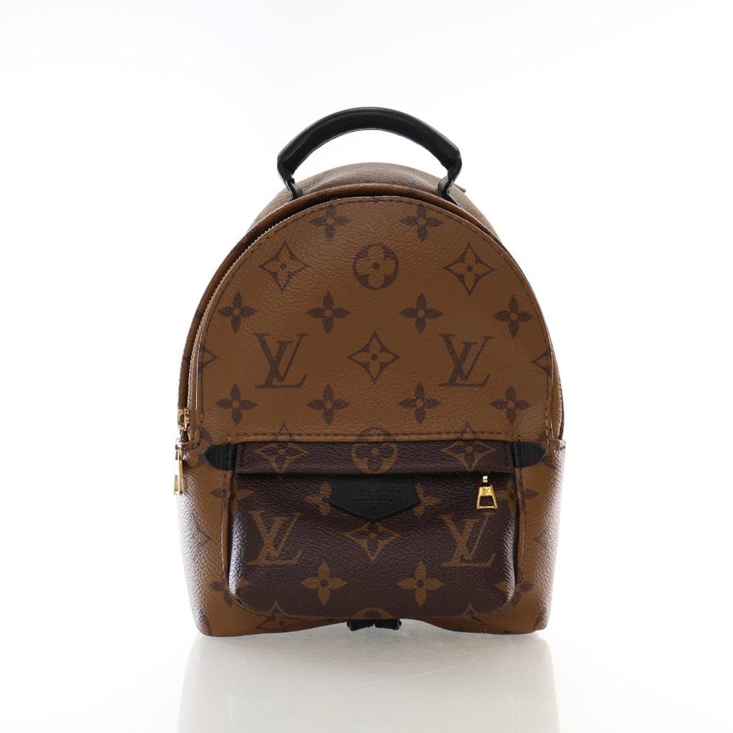 Louis Vuitton LV Monogram Palm Springs Mini