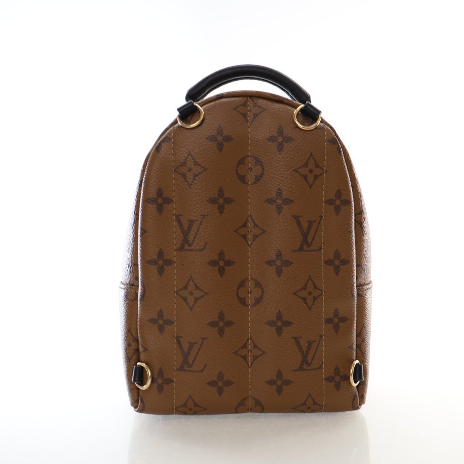 Louis Vuitton LV Monogram Palm Springs Mini