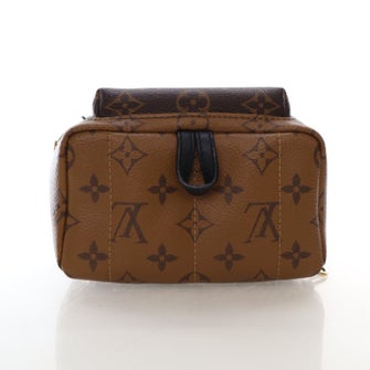 Louis Vuitton LV Monogram Palm Springs Mini