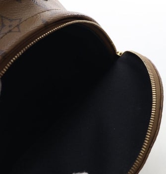 Louis Vuitton LV Monogram Palm Springs Mini