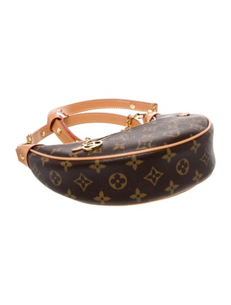 Louis Vuitton Monogram Loop