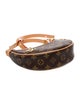 Louis Vuitton Monogram Loop