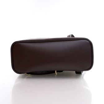 Louis Vuitton Damier Ebene Soho Backpack