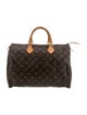 Louis Vuitton Top Handle Bag