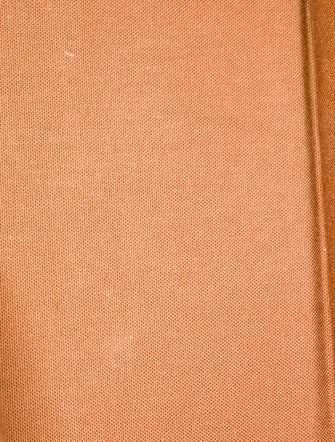 Louis Vuitton Damier Ebene Tote