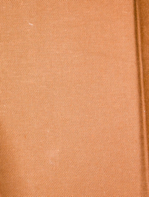 Louis Vuitton Damier Ebene Tote