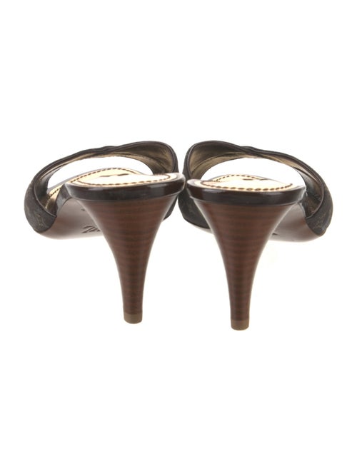 Louis Vuitton LV Monogram Canvas Slides