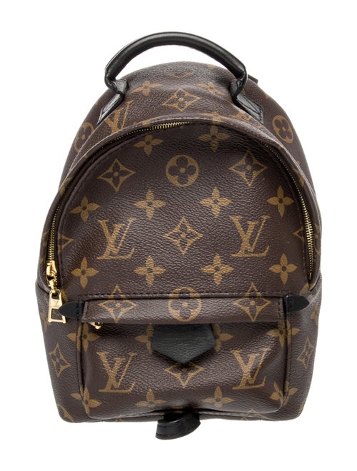 Louis Vuitton LV Monogram Palm Springs Mini