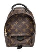 Louis Vuitton LV Monogram Palm Springs Mini