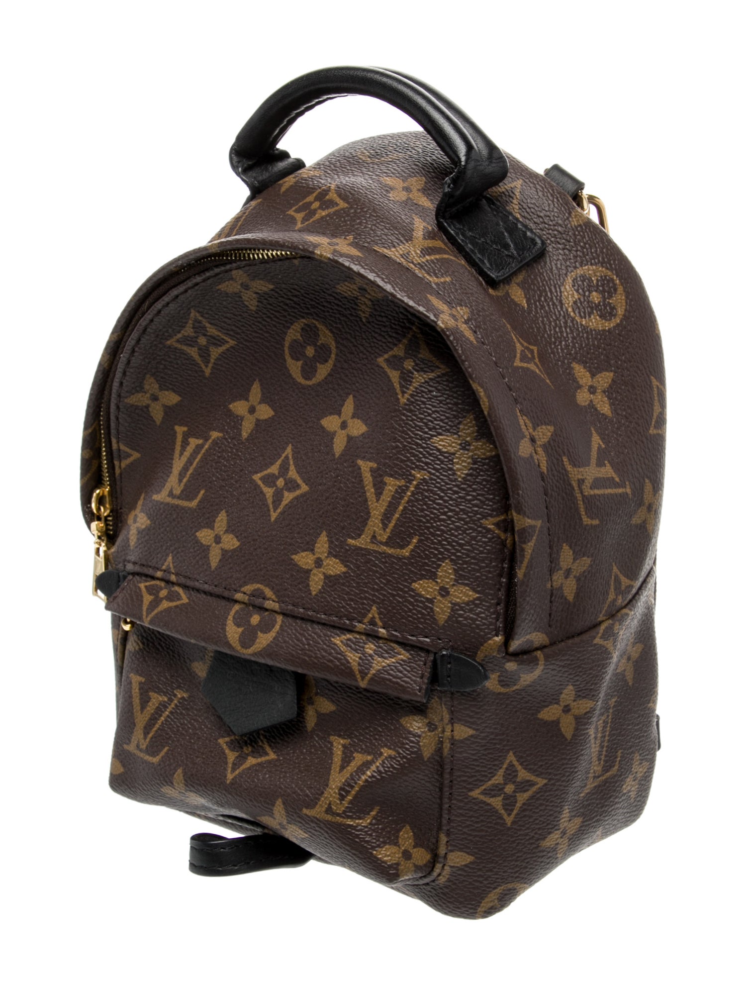 Louis Vuitton LV Monogram Palm Springs Mini