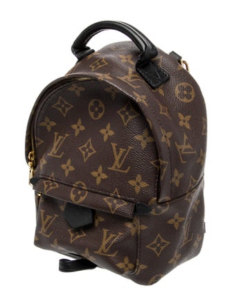 Louis Vuitton LV Monogram Palm Springs Mini