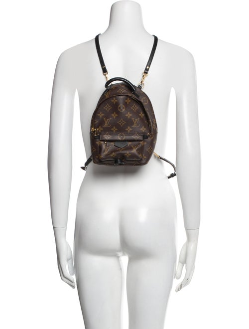 Louis Vuitton LV Monogram Palm Springs Mini