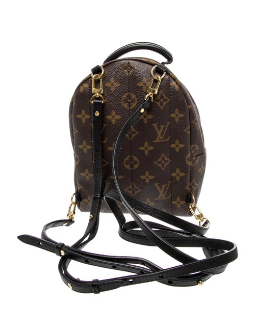 Louis Vuitton LV Monogram Palm Springs Mini