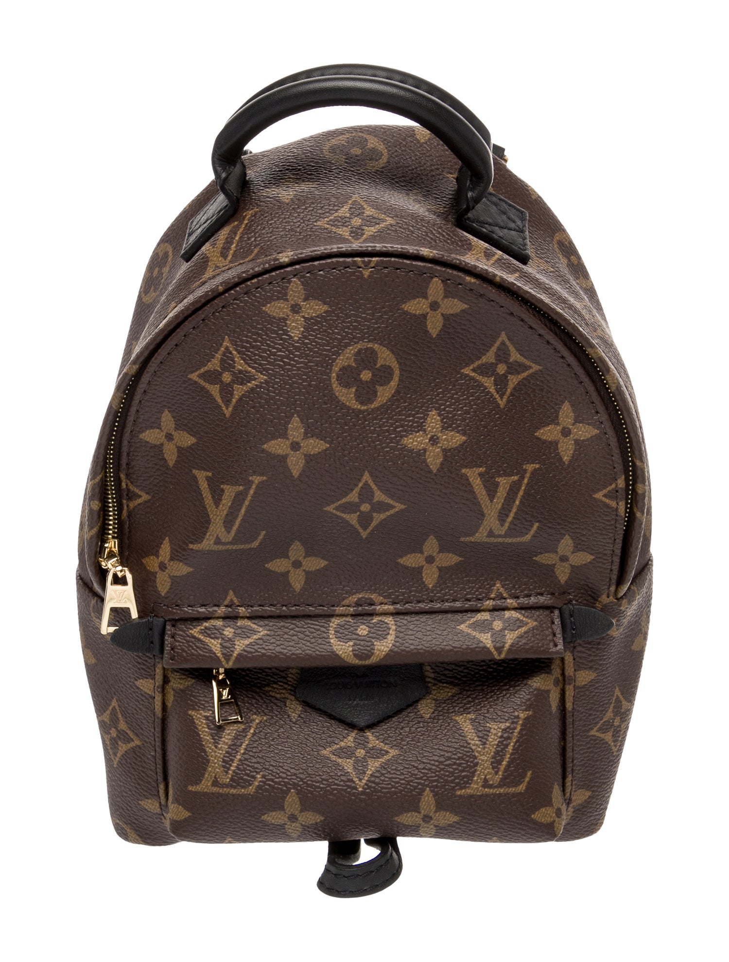 Louis Vuitton LV Monogram Palm Springs Mini