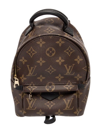 Louis Vuitton LV Monogram Palm Springs Mini