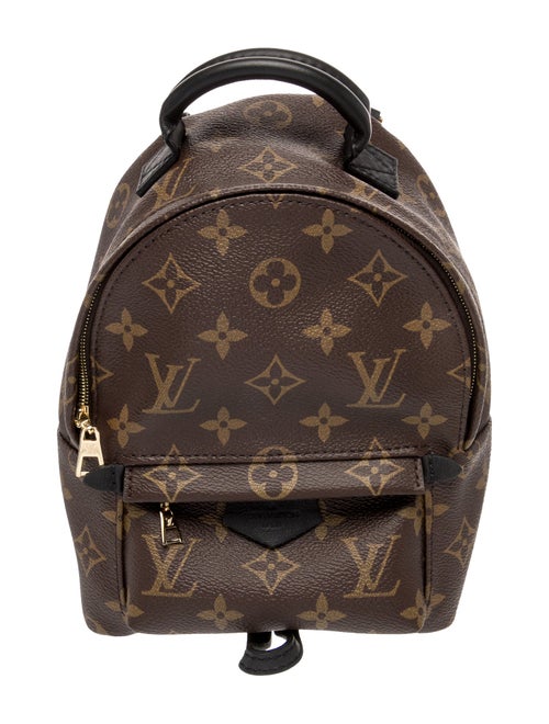 Louis Vuitton LV Monogram Palm Springs Mini