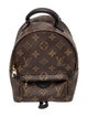 Louis Vuitton LV Monogram Palm Springs Mini