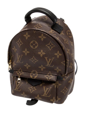 Louis Vuitton LV Monogram Palm Springs Mini