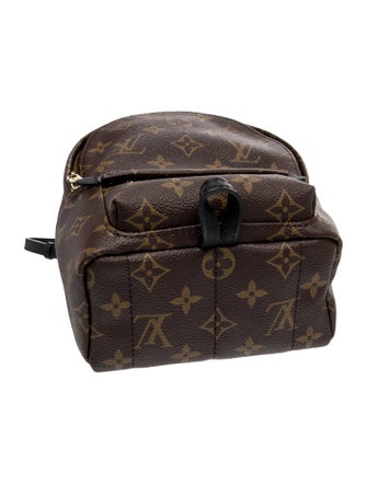 Louis Vuitton LV Monogram Palm Springs Mini