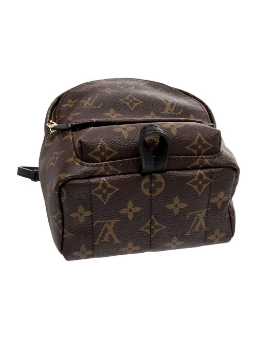 Louis Vuitton LV Monogram Palm Springs Mini