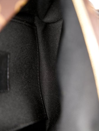 Louis Vuitton LV Monogram Palm Springs Mini