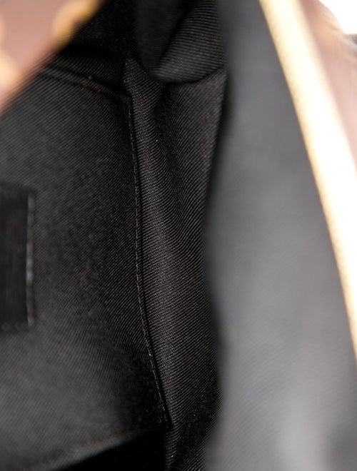 Louis Vuitton LV Monogram Palm Springs Mini