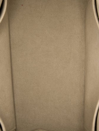 Louis Vuitton Monogram Giant OnTheGo Petit