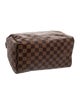 Louis Vuitton Damier Ebene Speedy 25