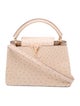 Louis Vuitton Ostrich Capucines PM