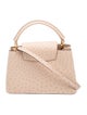 Louis Vuitton Ostrich Capucines PM