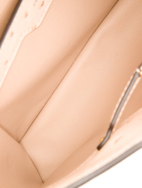 Louis Vuitton Ostrich Capucines PM