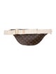 Louis Vuitton LV Monogram High Rise Bumbag