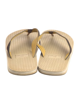Louis Vuitton Printed Flip Flops