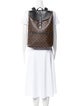 Louis Vuitton Palk Backpack