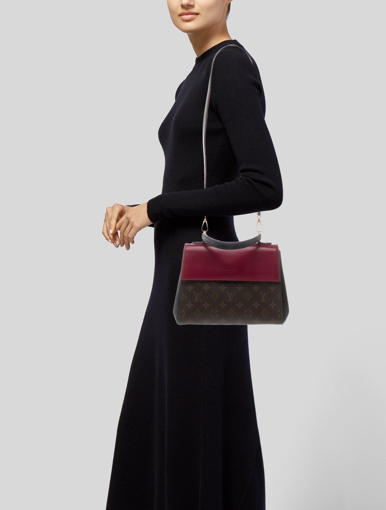 Louis Vuitton LV Monogram Cluny