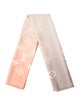 Louis Vuitton Gradient 2020 Shawl