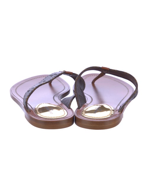 Louis Vuitton LV Monogram Flip Flops