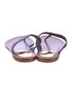 Louis Vuitton LV Monogram Flip Flops