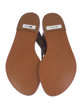 Louis Vuitton LV Monogram Flip Flops