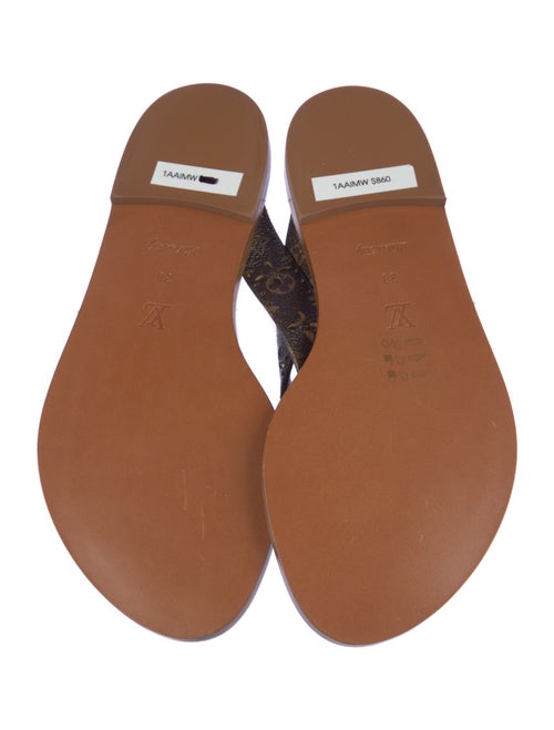 Louis Vuitton LV Monogram Flip Flops
