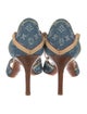 Louis Vuitton Monogram Pattern Denim Sandals