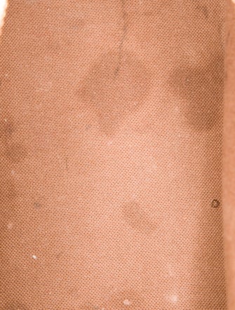 Louis Vuitton LV Monogram Alma BB